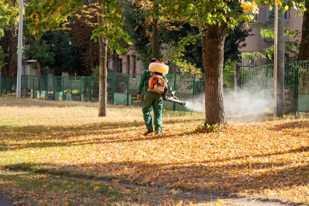  Ridgefield, WA Pest Control Pros