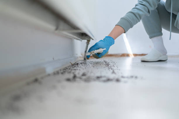 Best Exterminator Services  in Ridgefield, WA